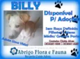 Billy