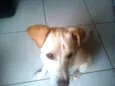 Billy