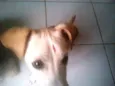 Billy