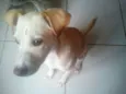 Billy