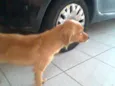 No Name