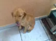 No Name