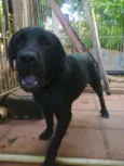 Kiko