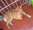 SOL
