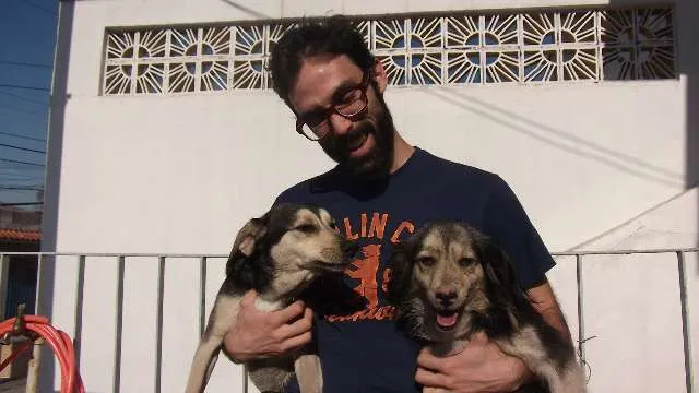 Cachorro ra a vira-lata idade 4 anos nome Pink e Zé
