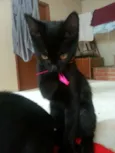 Pati