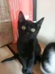 Frida
