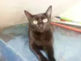 Fiona