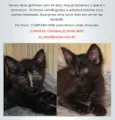Bebel e Penélope