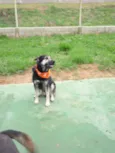 NÍCOLAS