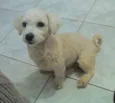 TATI GRATIFICA