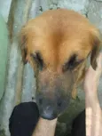 Luck