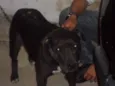 NINA
