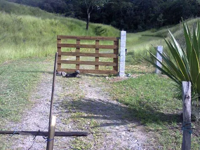 Cachorro ra a NÃO DEFINIDA idade  nome Nina
