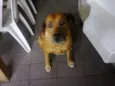Nina