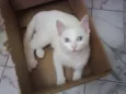 Mary