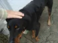 não sei
