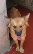 SOL