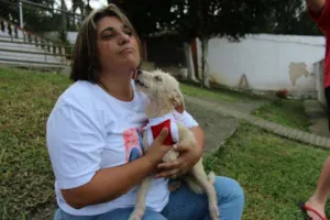 Cachorro raça SRD idade 7 a 11 meses nome BRANQUINHA