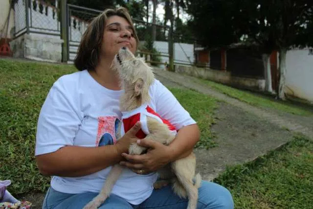 Cachorro ra a SRD idade 7 a 11 meses nome BRANQUINHA
