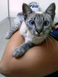 CUCA