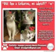 **Catharina**