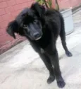 Neguinha