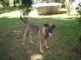 Bolinha