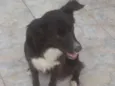 Dorita