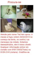 Ted GRATIFICA