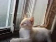 Théo