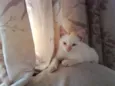 Théo
