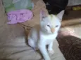 Théo