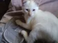 Théo