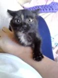 Théo