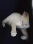 Théo