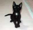 Faísca