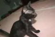 Faísca
