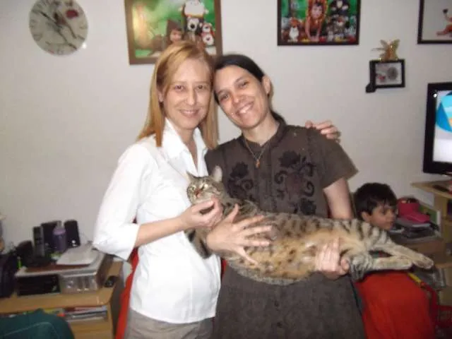 Gato ra a SRD idade 1 ano nome Mingau