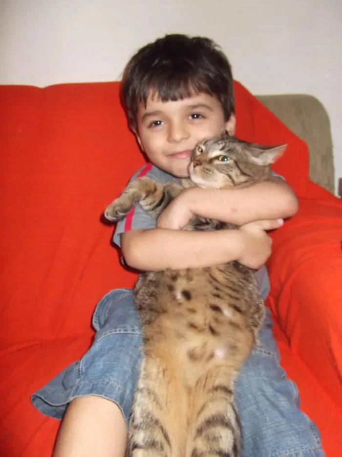 Gato ra a SRD idade 1 ano nome Mingau