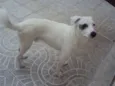 JACK