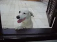 JACK