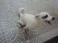 JACK