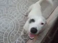 JACK