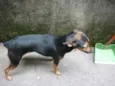 Julie