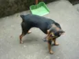 Julie