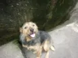 Xuxinha