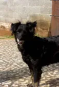 Chiquinha