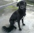 Minnie