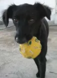 Minnie
